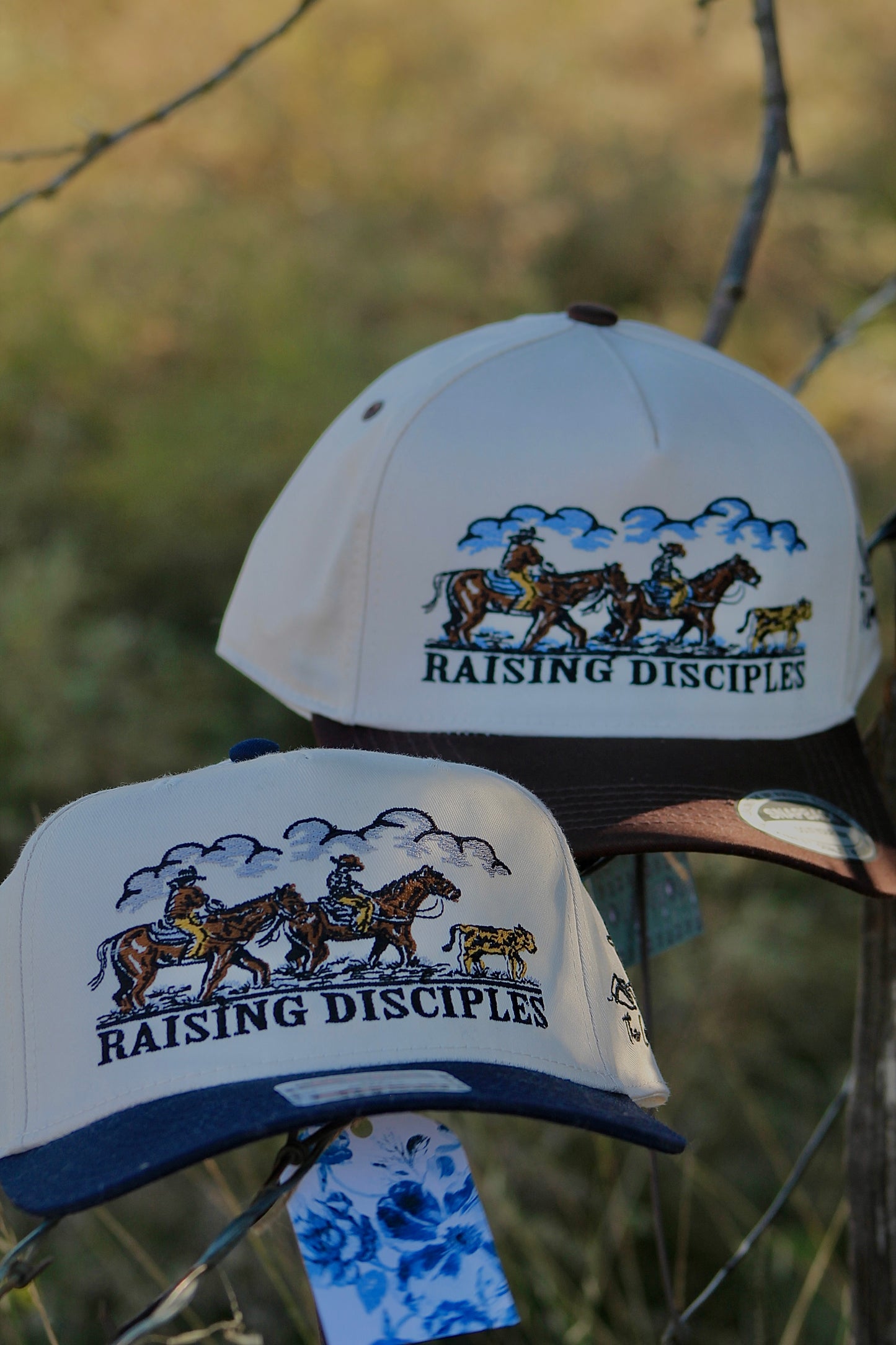 Raising Disciples ‘In Color’ Hat