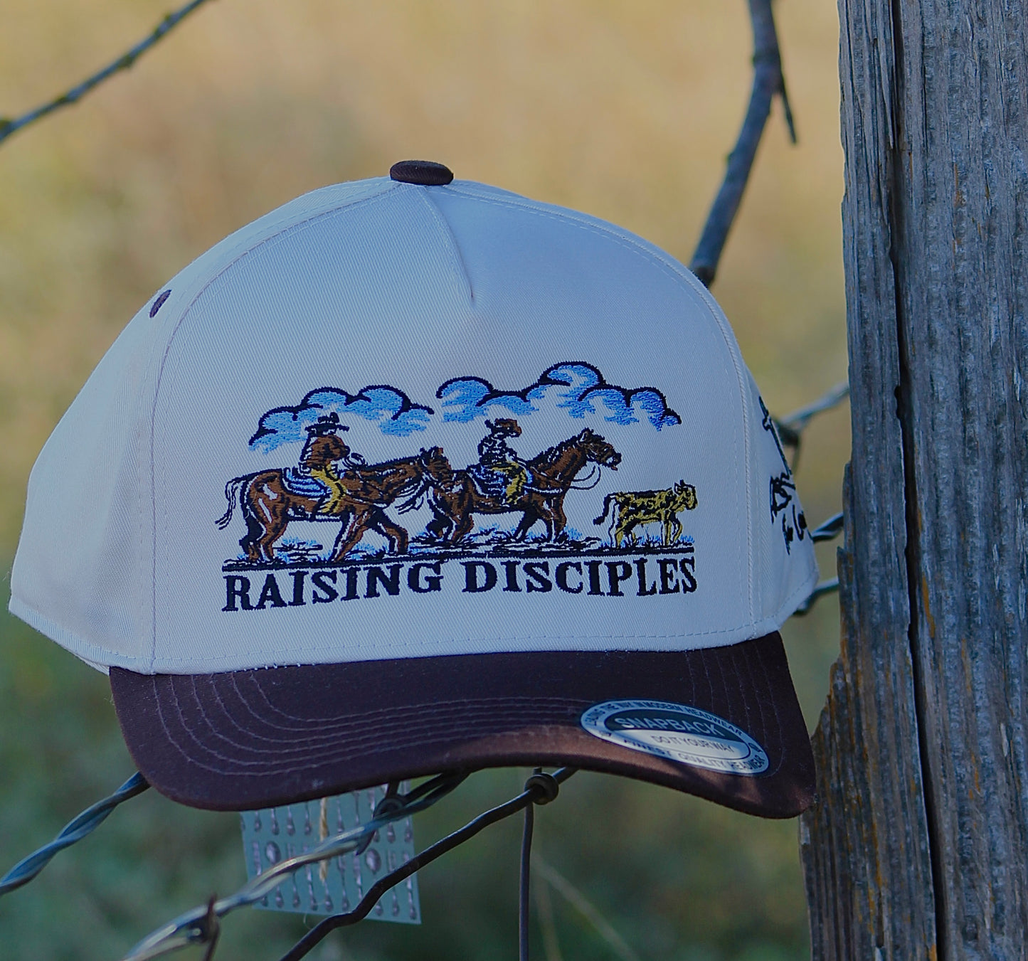 Raising Disciples ‘In Color’ Hat