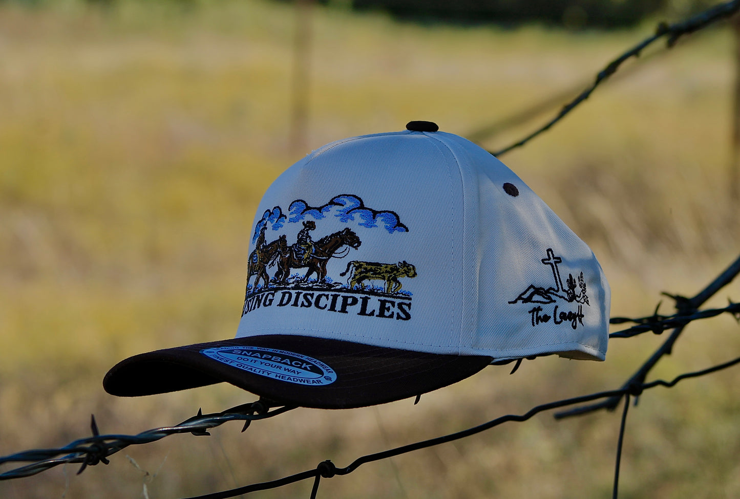 Raising Disciples ‘In Color’ Hat