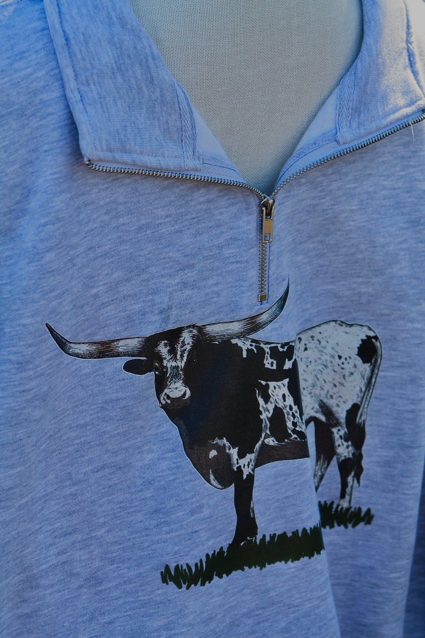 Longhorn Quarter Zip